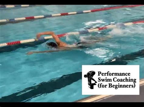 Freestyle Swim Catchup Drill Technique Youtube