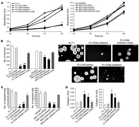 Jci Cd99 Inhibits Neural Differentiation Of Human Ewing Sarcoma Cells