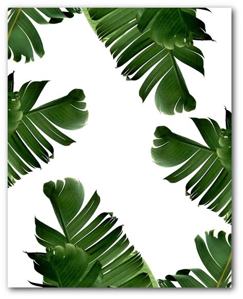 Banana Leaf Print Abstract Tropical Leaf Summer Art Tropical Banana