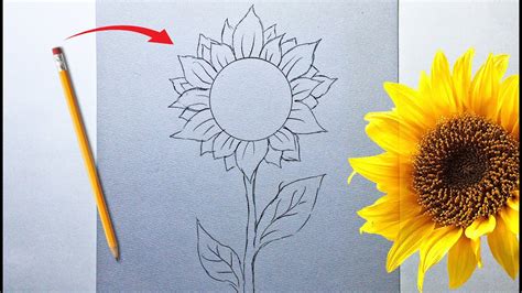 Total 70 Imagen Dibujar Un Girasol Paso A Paso Abzlocal Mx