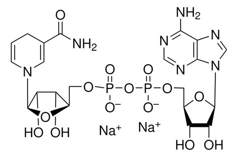 Sigma Beta Nicotinamide Adenine Dinucleotide Reduced Disodium Salt