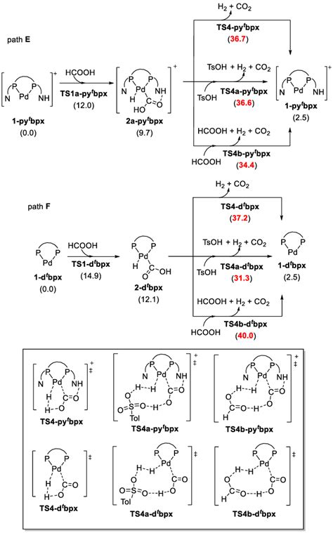 The Dehydrogenation Of Hcooh Respectively Catalysed By Pd Py T Bpx And