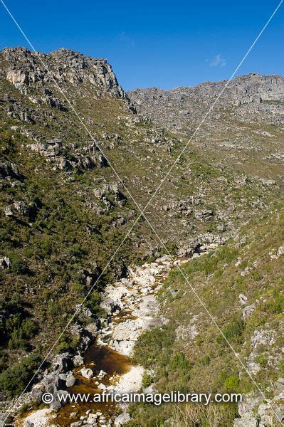 Photos And Pictures Of Bainskloof Pass South Africa The Africa