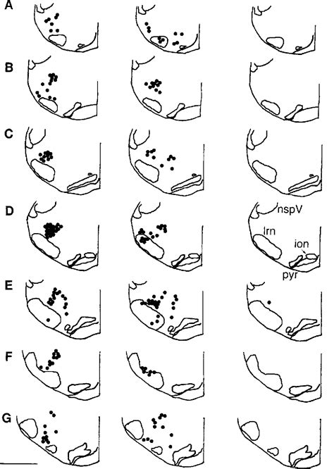 Figure 4 From Volume Expansion Does Not Activate Neuronal Projections