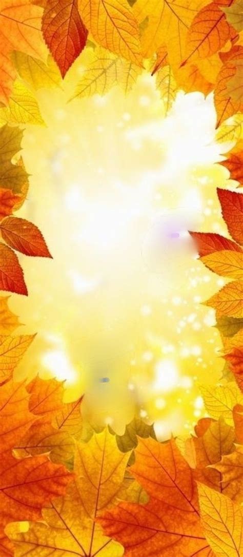 Autumn Leaves Wallpaper 🍁