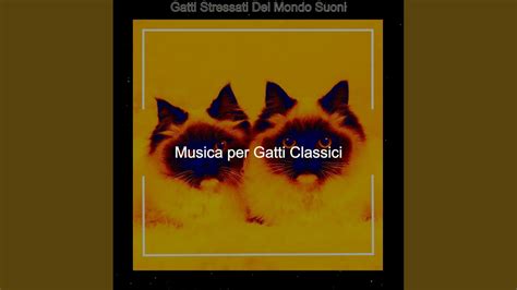 Gatti Addormentati Blu YouTube