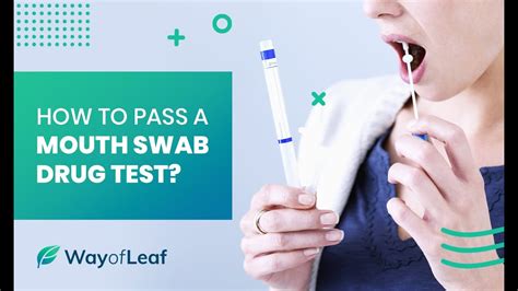 How To Pass A Mouth Swab Drug Test Youtube