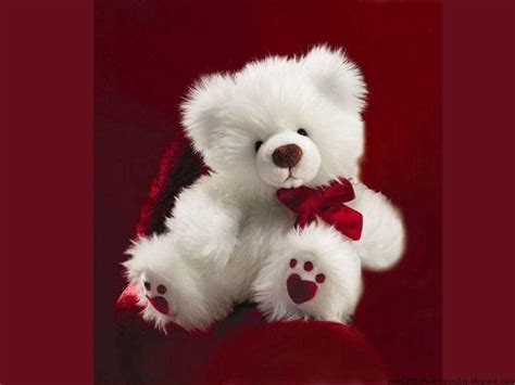 Teddy Bear Desktop Wallpapers Top Free Teddy Bear Desktop Backgrounds