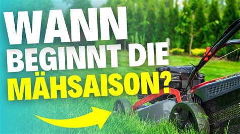 Rasenmähen im Frühling Wann ist der richtige Zeitpunkt YouTube