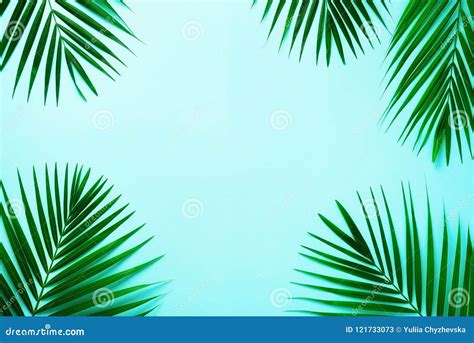 Tropical Palm Leaves On Pastel Blue Background Minimal Summer Concept