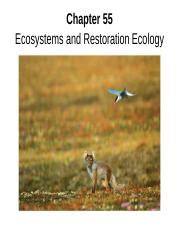 Biol Ch Ecosystems And Global Change Ppt Chapter