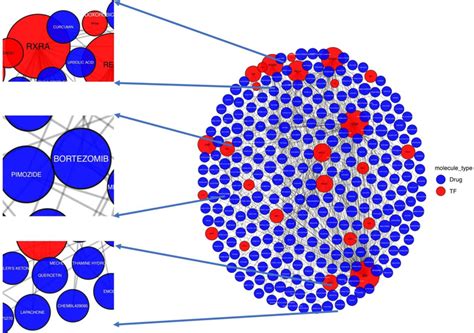 Interaction network showing the transcription factors that regulate the ... 
