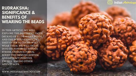 Rudraksha Types Significance And Benefits Of Wearing The Beads Indian