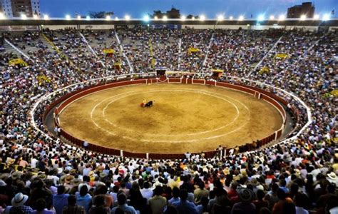 Toro Vive organizará la Feria Taurina de Cali 2024 mundotoro