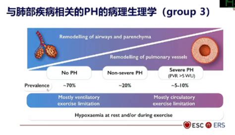 第三大类肺动脉高压诊治进展有哪些？专家总结这6点医学界 助力医生临床决策和职业成长