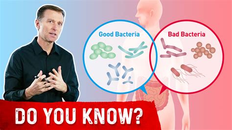 What Makes Good Bacteria Turn Bad? | Healthy Keto™ Dr. Berg