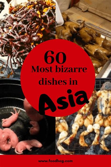 Unusual Food in Asia - 60 Bizarre dishes you can eat in Asia