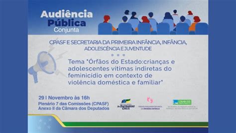 Deputada Ana Paula Lima promove audiência pública sobre os órfãos do