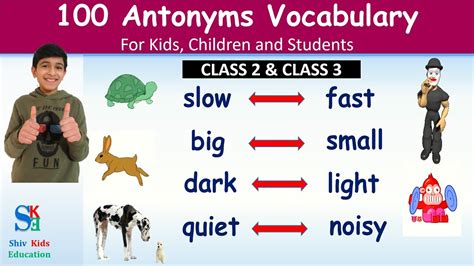 How To Teach Synonyms, Antonyms Homonyms Video Lesson, 40% OFF