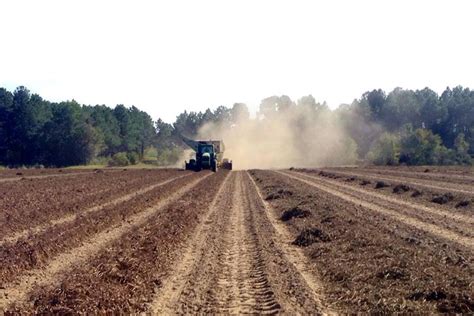 Peanut Farming Florida Peanut Producers