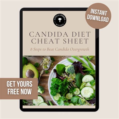 28-Day Candida Diet Meal Plan With Candida Diet Recipes - Anti Candida ...