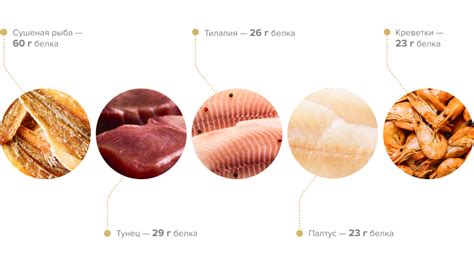 Продукты с высоким содержанием белка