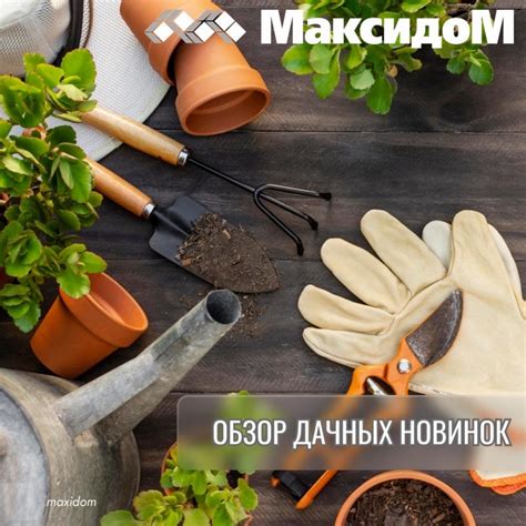 Максидом каталог товаров с ценами на июнь - июль 2022