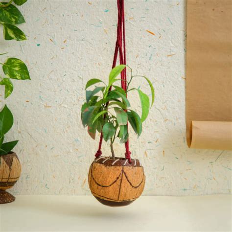 Coconut Shell Planter Hanging Meryaki Crafts