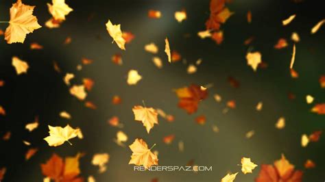 Autumn Animated Wallpapers - Wallpaper Cave