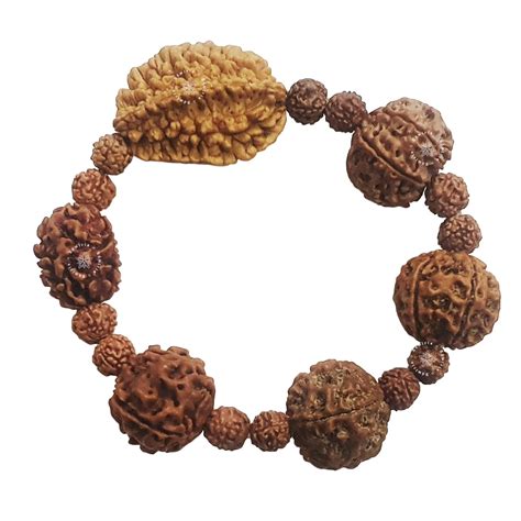 Buy Edmiria Natural Certified Rudraksh Mukhi Face Beads