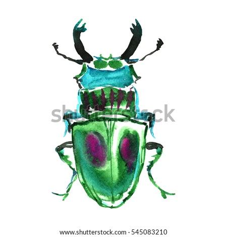 Beetle Stock Images Royalty Free Images Vectors Shutterstock