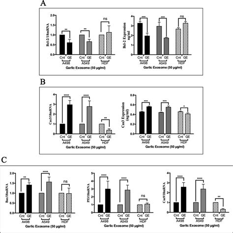 Quantitative Rt Pcr Analysis Of Bcl 2 A Cas3 B Bax P53 And Cas9