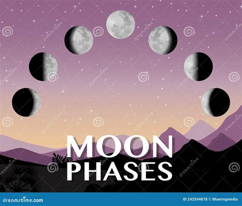 Phases De La Lune Pour L Enseignement Scientifique Illustration De