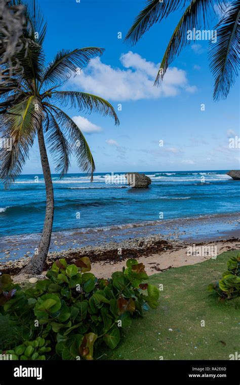 Bathsheba Beach Barbados Stock Photo - Alamy