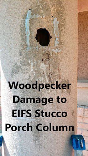 Woodpecker Stucco Repair Kit | #1 Best Stucco Repair Kit