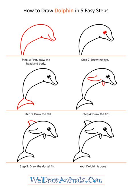 How To Draw A Cute Baby Dolphin Step By Step