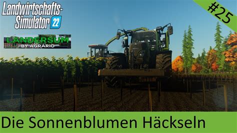 LS22 Landersum Folge 25 Sonnenblumen Häckseln YouTube