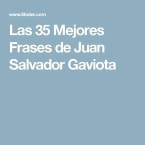 Las 75 Mejores Frases De Juan Salvador Gaviota Artofit