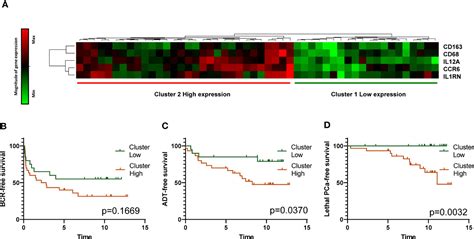 Frontiers High Infiltration Of CD209 Dendritic Cells And CD163