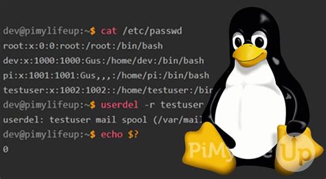 Using The Userdel Command In Linux To Remove Users Pi My Life Up