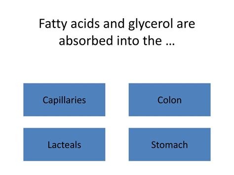 Ppt Leaving Certificate Biology Human Digestive System 1 Iquiz