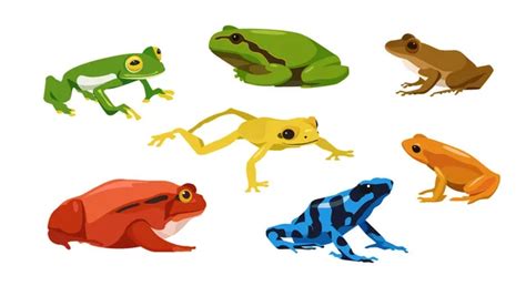 Cartoon Poison Dart Frog Vector Images Depositphotos