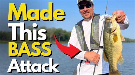 Always Think About This When Bass Fishing Bass Fishing Tips YouTube