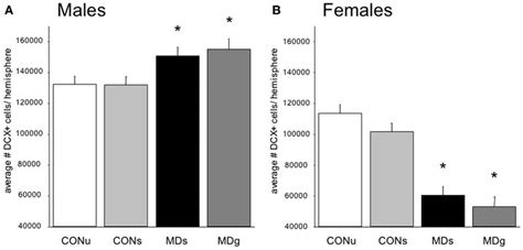 Frontiers Age And Sex Dependent Effects Of Early Life Stress On Hippocampal Neurogenesis