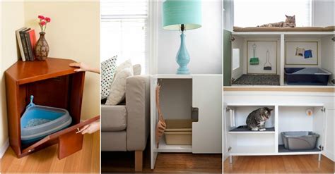 12 Creative Ideas For Hiding Kitty Litter Box That Are So Helpful