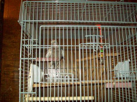 My Amigos at Three Margaritas - 3 Margaritas Mexican Restaurant