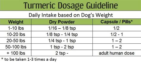 Turmeric Dosage for Dogs - The Definitive Guide