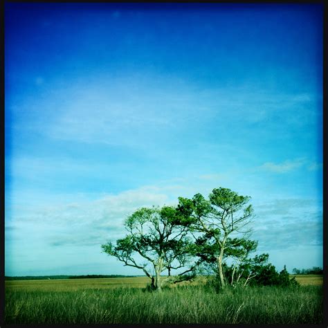 Elevation of Edisto Island, SC, USA - Topographic Map - Altitude Map