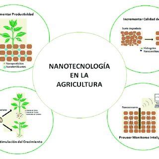 Potenciales Aplicaciones De La Nanotecnolog A En La Agricultura