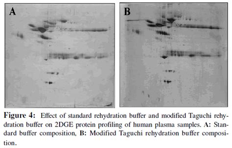 An Effective Method For The Analysis Of Human Plasma Proteome Usi